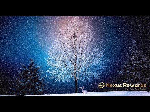 Nexus Holiday Zoom Overview